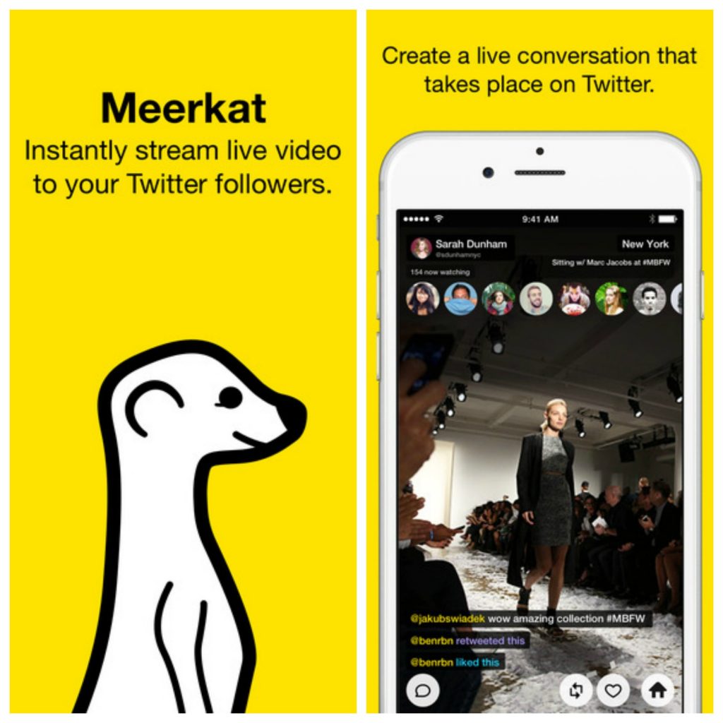 Meerkat